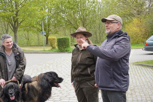 leonberger18