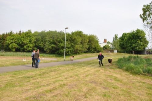 image10