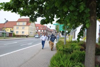 image11