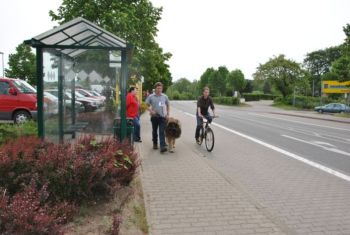 image11