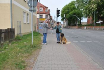 image11