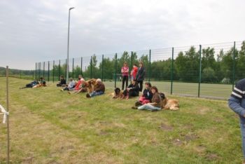 image11