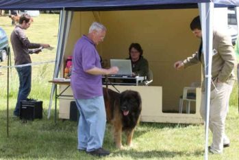 image38