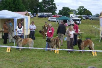 image38
