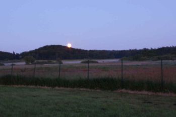 image38