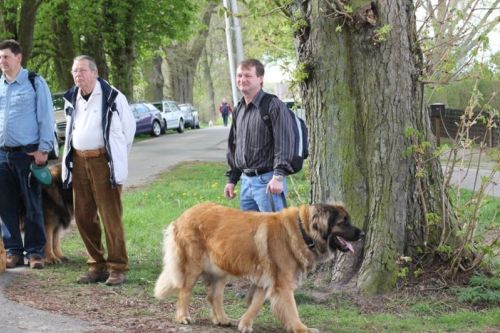 image05
